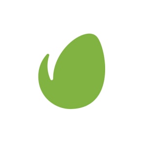 Envato logo